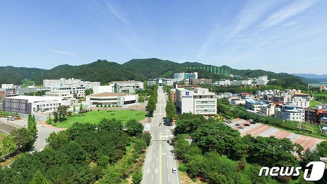 올해 신입생이 대폭 미달된 안동대 전경(안동대 제공) © 뉴스1