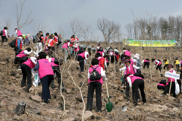 This photo shows an Arbor Day event in Daegu, where the number of men per 100 women stood at 97.32 as of February 2021 in its demographic structure. (Daegu City)