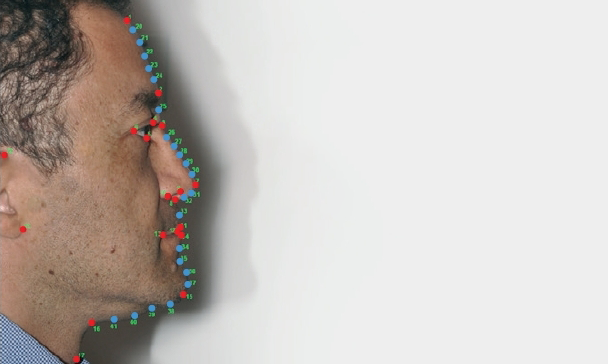 눈썹, 코, 입술 등의 모양은 옆모습을 결정짓는다. 국제 공동연구팀은 라틴아메리카 5개 국가 6000여 명의 옆모습에서 주요 특징(빨간색) 19가지와 보조 특징(파란색) 22가지를 추려냈다. 사이언스 어드밴시스 제공