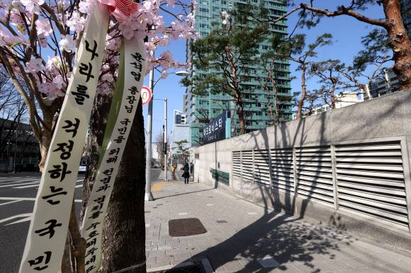 문재인 대통령이 윤석열 검찰총장 면직안을 재가한 5일 서울 서초구 윤 전 총장 자택 앞에 지지자가 보낸 벚꽃 나무가 놓여 있다. 뉴스1