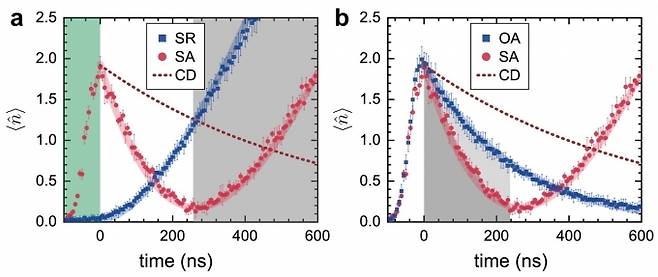 a. 공진기 안에 원자를 양자중첩상태로 준비하면 초방사가 발생한다(파란색 그래프). 초방사의 신호는 시간의 제곱에 비례하여 증가한다. 반면 공진기에 입사광을 주입하고 원자상태의 위상을 조절하면 초방사의 시간 역과정, 즉, 초흡수를 발생시킬 수 있다(빨간색 그래프). 초흡수는 시간의 제곱에 비례하여 감소한다. 완전히 빛을 흡수하여 더 이상 흡수할 빛이 없으면 초방사가 발생한다. 빨간 점선은 원자 없이 공진기에 입사광을 주입할 경우 시간에 따라 빛이 빠져나가는 것을 보여준다(공진기 감쇄현상).b. 바닥상태로 준비된 원자는 일반흡수를 일으켜 신호가 지수함수적으로 줄어드는 (파란색 그래프) 반면 양자중첩상태로 준비하고 위상을 조절한 원자는 이차함수꼴로 신호가 줄다가 특정시점에 완전한 흡수(붉은색 그래프), 즉 초흡수를 일으킨다. 같은 실험조건에서 일반흡수를 통해 초흡수와 동일한 수준의 흡수를 얻기 위해서는 약 7배 정도의 더 많은 원자가 필요하다.  [서울대학교 안경원 교수 연구팀 제공]