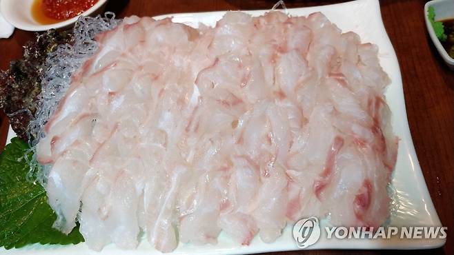 제주 다금바리 회 [촬영 김호천] 제주 다금바리 회
