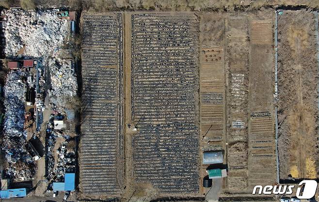 LH 직원들이 사들인 경기도 시흥시 과림동 소재 농지의 모습. © News1 이승배 기자