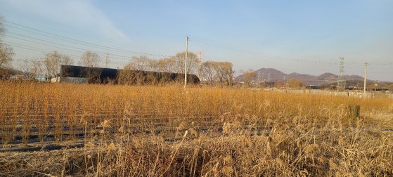 LH(한국토지주택공사) 직원들의 땅 투기 의혹이 제기된 경기도 시흥시 과림동 일대. 채혜선 기자