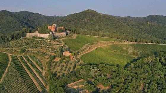 이탈리아 투스카니 지역의 포도농장. [AFP=연합뉴스]