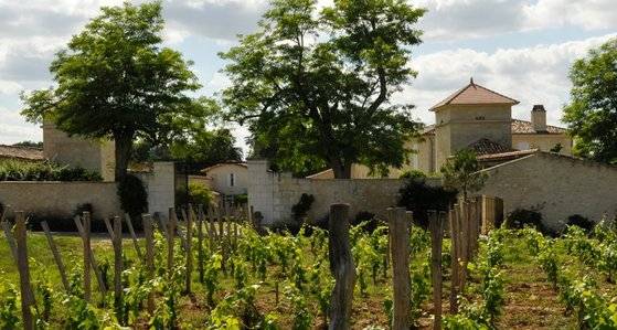 앞서 지난 2016년 마윈 알리바바 창업자는 프랑스의 포도밭을 사들여 화제가 됐다. 마윈이 구매한 것으로 알려진 포도밭. [OBC와인스 닷컴]