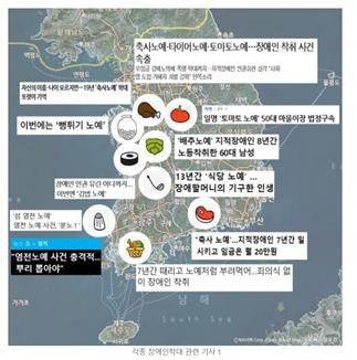 (출처=중앙장애인권익옹호기관 홈페이지)