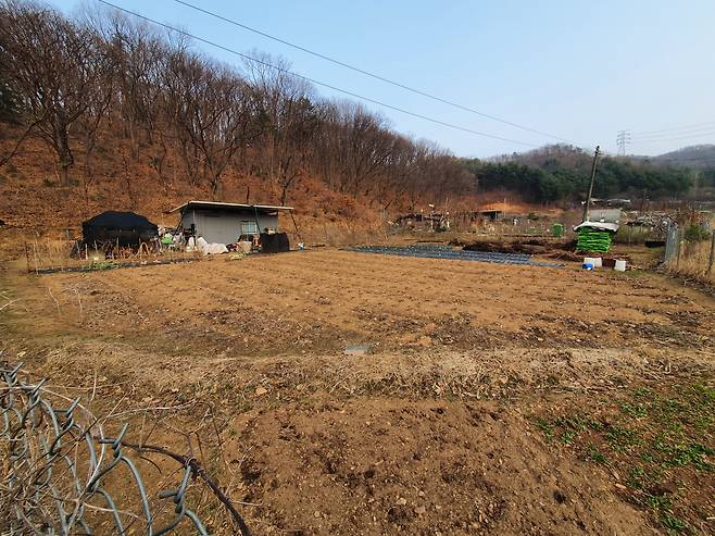 13일 숨진 채 발견된 LH 직원 A씨가 보유한 파주시 법원읍 삼방리의 한 농장. 농장에는 A씨가 최근까지 농사를 지은 흔적이 남아있었다. /남지현 기자