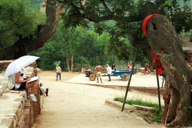 허우거우고촌 입구의 아름드리 나무. ⓒ최종명