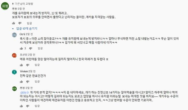 반려견 물림사고 조롱하는 SNS 댓글 [서모씨 제공. 재판매 및 DB 금지]