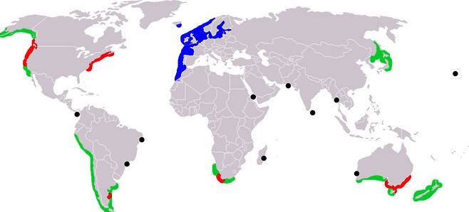 유럽꽃게의 분포 해역. 파란색은 원산지 붉은색은 침입해 서식하는 해역 초록색은 잠재적 침입 해역 검은 점은 개별 목격지를 가리킨다. 위키미디어 코먼스 제공