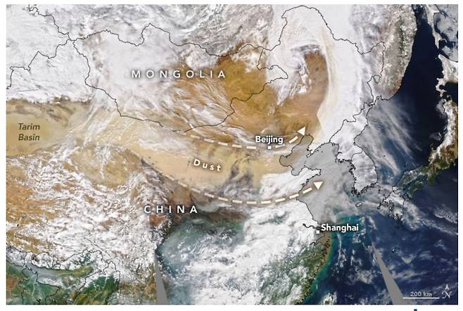 미 항공우주국(NASA)이 15일 위성 촬영한 중국 대륙이 황사로 뒤덮여 있다. 나사는 “중국 북서부 타클라마칸 사막에서 발원한 황사가 강풍을 타고 동쪽으로 수천 킬로미터를 날아갔다”고 했다. /NASA