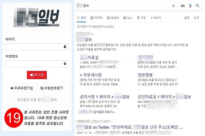 구글에서 일반 사이트와 같이 검색이 되는 'OO일보'. 구글 캡처