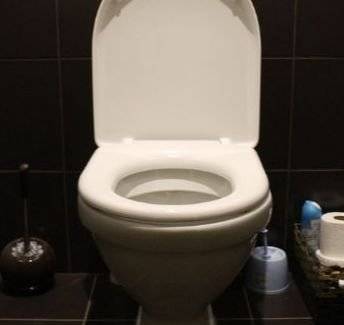 화장실 변기. [사진 pxhere]