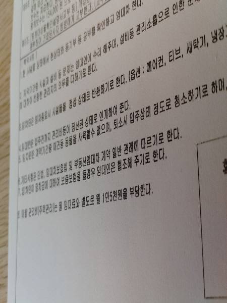 원룸 전세계약 작성 시 추가한 전세보증보험 관련 특약 내용.