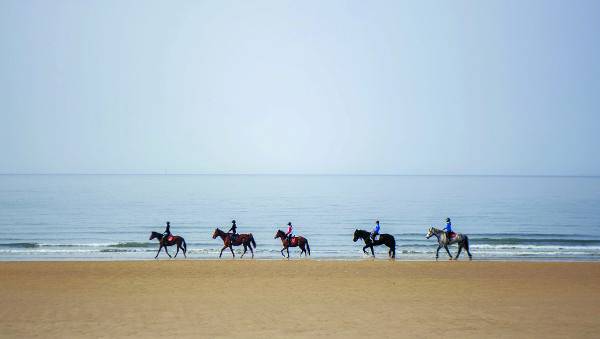 대광해수욕장 인근 백사장을 내닫는 승마인들이 시원한 풍경을 선사한다.