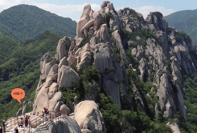 울산 바위의 전경. 밝은색의 거대한 화강암 바윗덩어리가 병품처럼 늘어서 있다. 우경식 제공