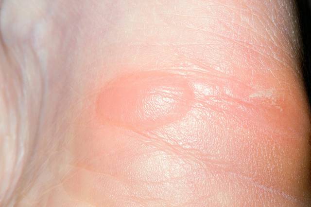 클립아트코리아