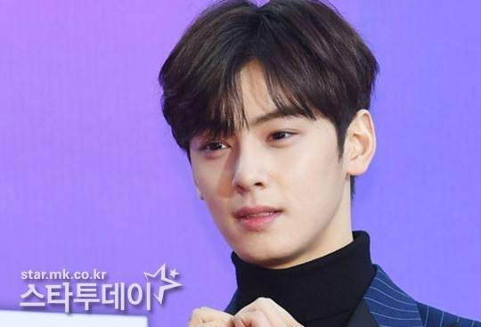 그룹 아스트로 멤버 겸 배우 차은우. 사진l스타투데이DB