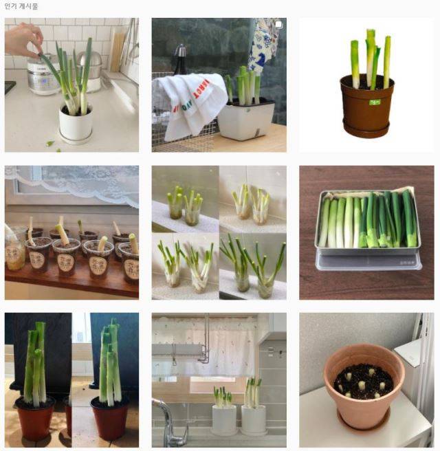 인스타그램에 올라온 '파테크' 도전기. 인스타그램 캡처