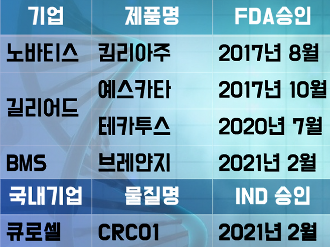 이미지=국내외 CAR-T세포 치료제 개발 현황. 한성주 기자