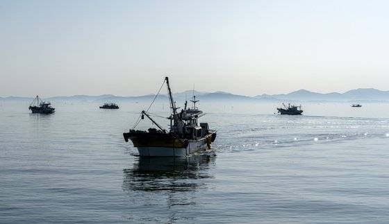 장흥 안양면 수문리는 키조개마을로 유명하다. 득량만으로 나갔던 키조개 어선이 수문항으로 들어오고 있다.