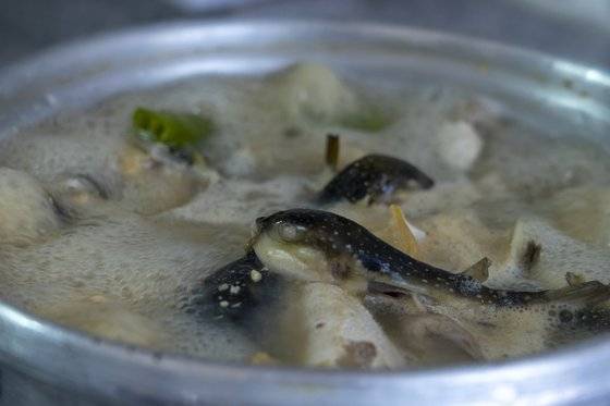 된장을 풀어 끓인 쫄복탕. 40년 내력 '성화식당'의 솜씨다.