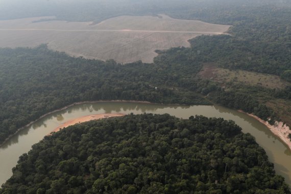 소행성 충돌이 지금의 아마존 열대우림을 만들어냈을 것으로 분석됐다. 사진은 지난해 8월 14일 브라질 아마존 열대우림. 사진=로이터뉴스1
