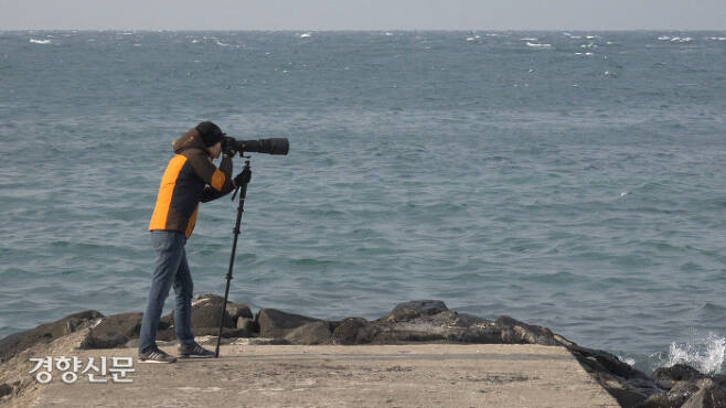 김현우 연구사가 제주도 남방큰돌고래를 조사하고 있다. / 김현우 제공