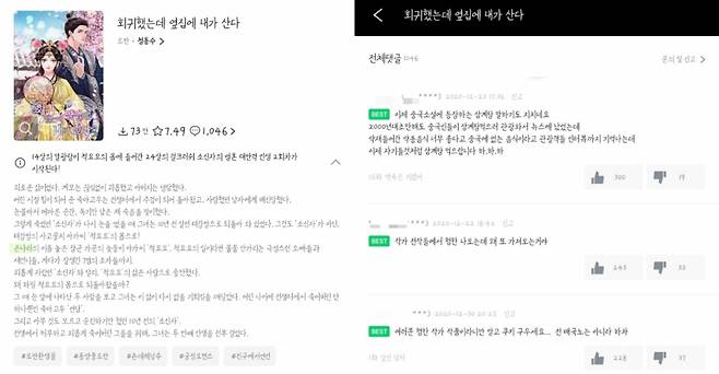 네이버 시리즈의 중국 웹소설 '회귀했는데 옆집에 내가 산다' 작품 설명과 베스트댓글 /사진=네이버 시리즈 캡처