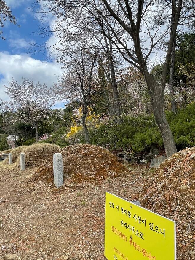 수도권의 한 공원묘지에 방치된 무연분묘의 연고자를 찾기 위한 안내 표지판이 꽂혀 있다.
