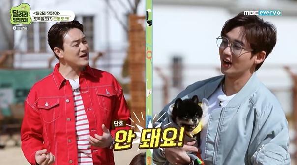 김원효(왼쪽)가 MBC에브리원 '달려라 댕댕이'에서 이태성(오른쪽)에게 농담을 건넸다. 방송 캡처