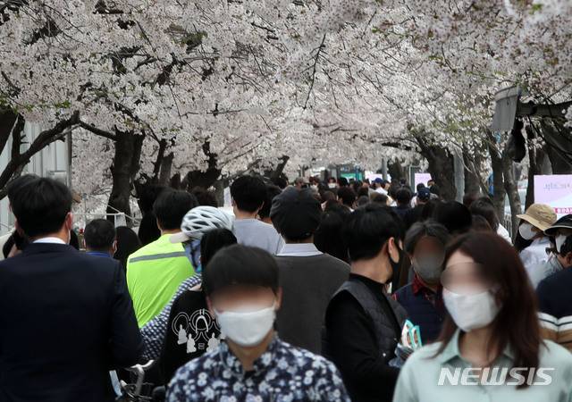 [서울=뉴시스]박주성 기자 = 서울의 한 낮의 기온이 24도를 기록한 1일 오후 서울 여의나루역 근처에 벛꽃이 활짝 피어있다. 2021.04.01. park7691@newsis.com