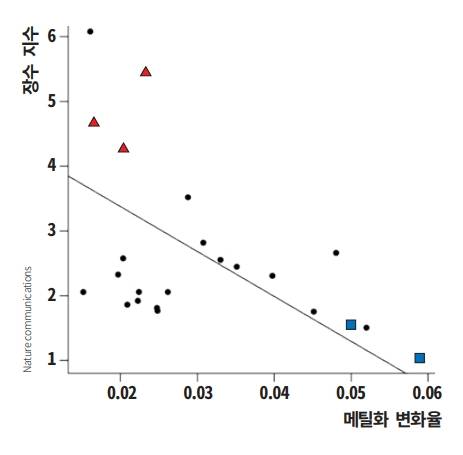 미국 로스앤젤레스 캘리포니아대(UCLA)와 GIB 메릴랜드대 공동연구팀이 26종의 박쥐 유전자를 분석한 결과, 노화가 진행되며 메틸화 패턴이 빠르게 변하는 박쥐일수록 수명이 짧았다. 수명이 평균보다 긴 박쥐 3종(붉은 삼각형)과 평균과 비슷한 박쥐 2종(파란 사각형)의 메틸화 변화율에 따른 장수 지수를 그래프로 나타냈다. 네이처 커뮤니케이션 제공