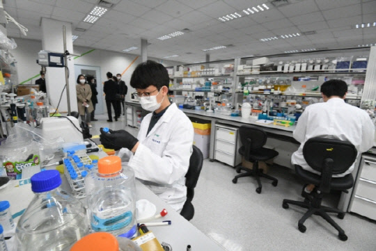 GC녹십자 연구원들이 코로나19 혈장치료제 연구개발 작업을 진행하고 있다. 연합뉴스