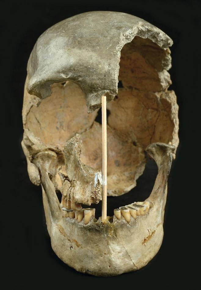 4만5천년 이전의 여성 두개골 화석 '즐라티 쿤' [Martin Frouz 제공/ 재판매 및 DB 금지]