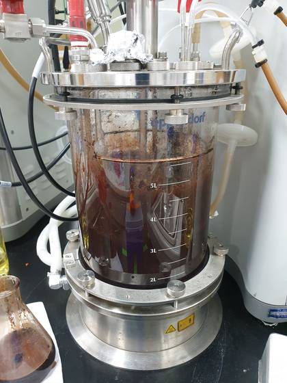 대장균 균주를 키워내는 배양기의 모습. 산소도 넣어주고, 저어주면서 대장균 균주가 잘 자랄 수 있는 최적의 환경을 만들어 준다. 〈사진=카이스트 이상엽 특훈교수 연구팀〉