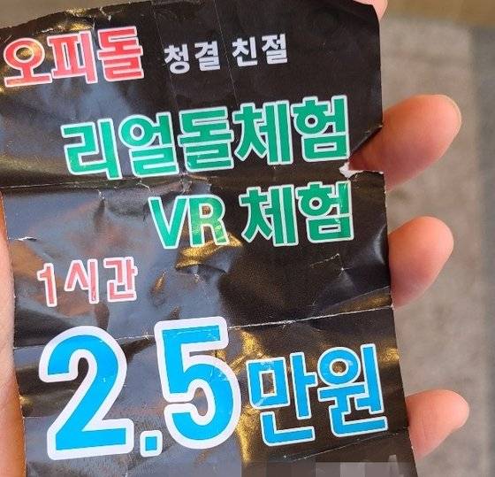 분당 리얼돌 체험방 전단. 사진 독자