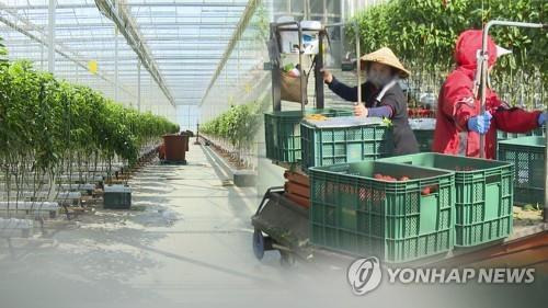 농어촌 외국인 근로자(CG) [연합뉴스TV 제공]