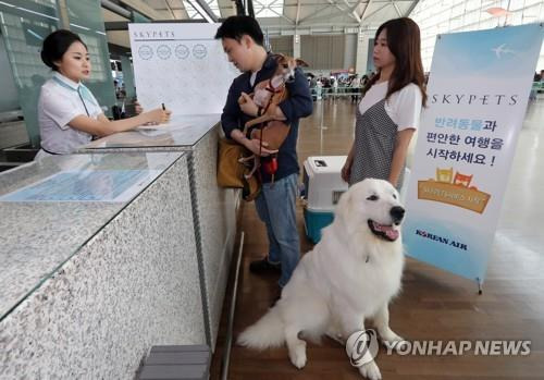 반려동물과 여행 [연합뉴스 자료사진]