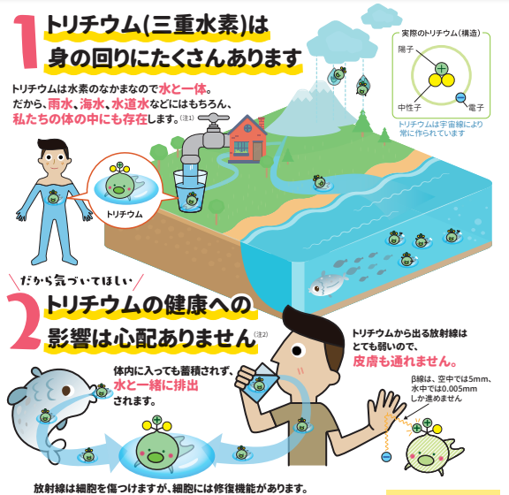 삼중수소 캐릭터 자료. 해당 자료에서는 삼중수소(트리튬)가 빗물이나 바닷물, 인간의 몸 속에도 존재한다고 설명하며 안전성을 강조했다. 그러나 누리꾼들은 이에 거센 비난을 가했다. 일본 부흥청