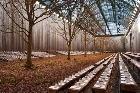 2018 가을·겨울(FW) 패션쇼를 위해 그랑팔레 안을 숲속처럼 연출한 샤넬. 이 쇼를 꾸미기 위해 100년 된 참나무를 벴다는 의혹이 제기되면서 곤욕을 치렀다.