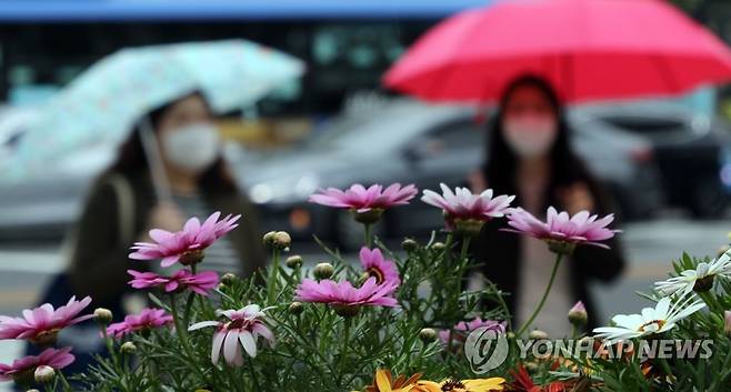 봄비 우산 [연합뉴스 자료사진]