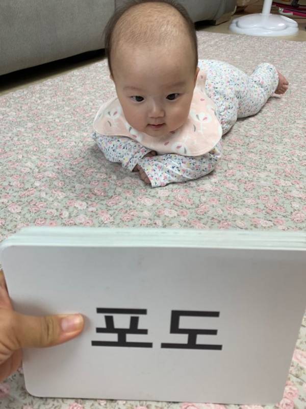 영재오 플래시카드를 이용하면 아이들이 말을 하는 데에 도움을 줄 수 있다. ⓒ백정미