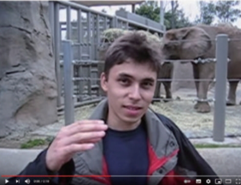 2005년 4월 23일 업로드된 첫 유튜브 영상. 한 남자가 “우리는 지금 코끼리 앞에 서 있어요. 얘네가 정말 멋진 건 엄청 길고 긴 코를 가지고 있기 때문이죠. 그리고 그게 거의 전부예요.”라고 말하는 내용이다. 유투브 캡쳐