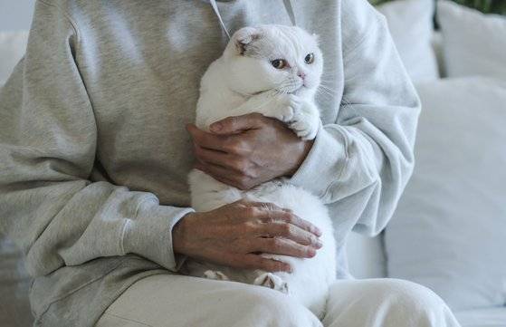 학대를 당했던 아픈 과거가 있는 흰둥이. 김완선 씨 품에서 행복을 찾았다. 김성룡 기자