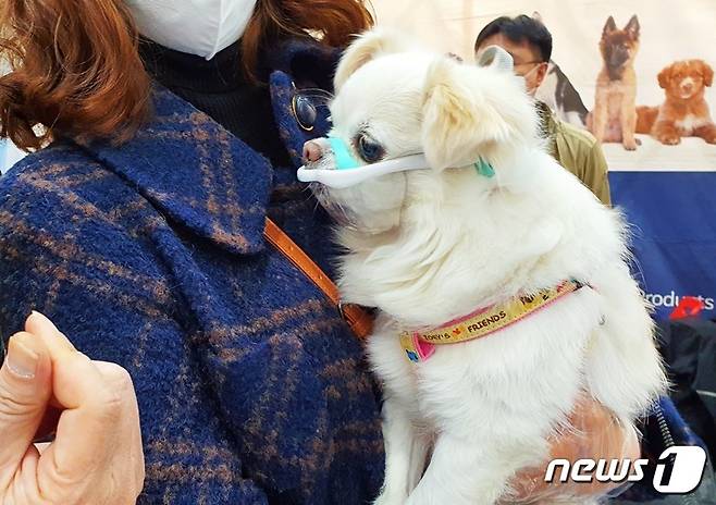 18일 수원펫쇼가 열린 수원컨벤션센터를 찾은 견주와 강아지. 강아지가 입마개를 하고 있다. © 뉴스1 최서윤 기자