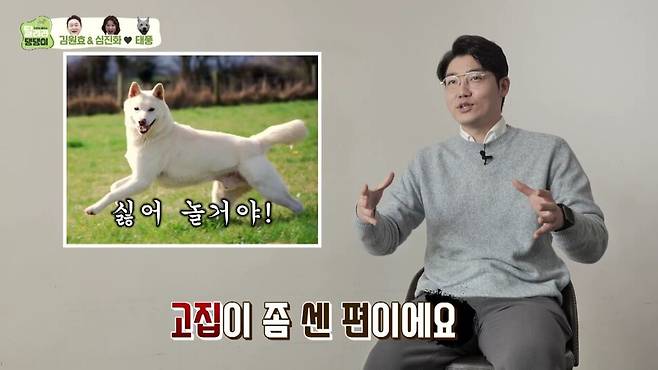 설채현 원장이 출연 중인 프로그램 ‘달려라 댕댕이’에서 진돗개의 기질에 대해 설명하는 장면. 엠비시에브리원 제공