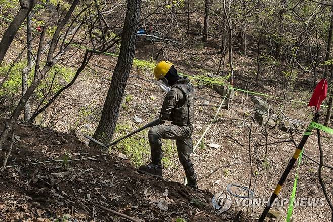 지뢰 제거 작전 모습 [연합뉴스 자료]