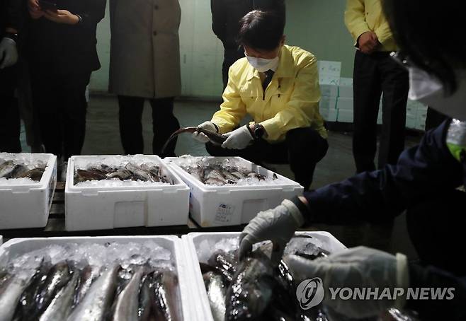 일본산 수산물 수입 검사과정 (부산=연합뉴스) 손형주 기자 = 19일 오후 부산 감천항 수입식품검사소에서 김강립 식약처장이 일본산 수입 수산물에 대한 방사능 검사 과정을 점검하고 있다. 2021.4.19 handbrother@yna.co.kr